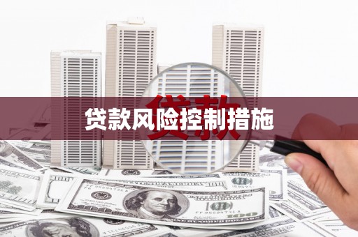 依兰贷款风险控制措施