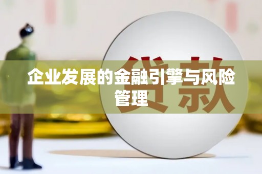 依兰企业发展的金融引擎与风险管理