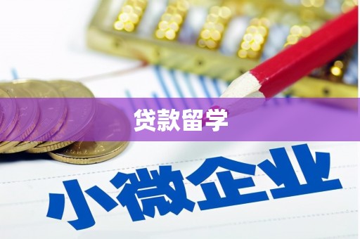 依兰贷款留学