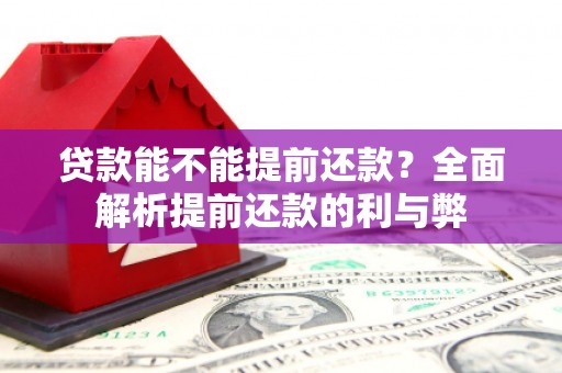 依兰贷款能不能提前还款？全面解析提前还款的利与弊