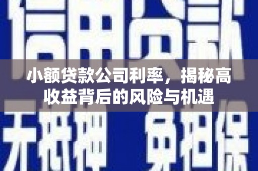 依兰小额贷款公司利率，揭秘高收益背后的风险与机遇