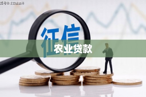 依兰农业贷款