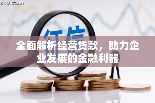 依兰全面解析经营贷款，助力企业发展的金融利器