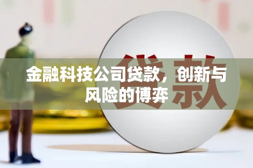 依兰金融科技公司贷款，创新与风险的博弈