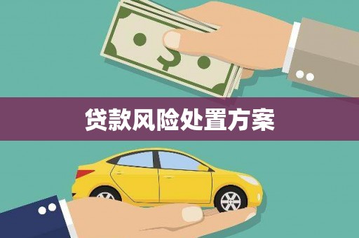 依兰贷款风险处置方案
