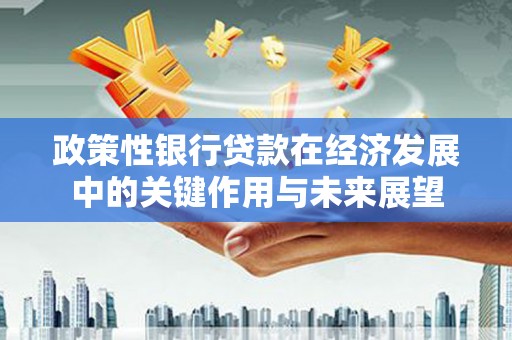 依兰政策性银行贷款在经济发展中的关键作用与未来展望