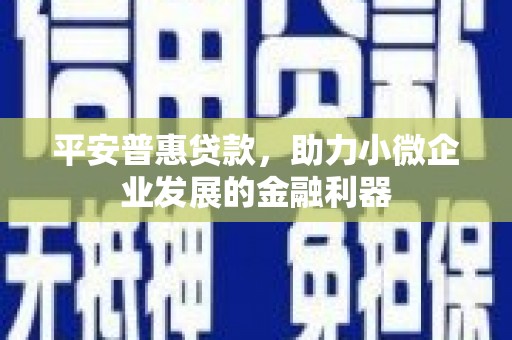 依兰平安普惠贷款，助力小微企业发展的金融利器