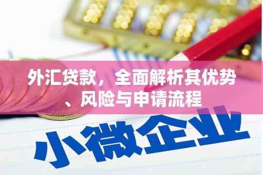 依兰外汇贷款，全面解析其优势、风险与申请流程