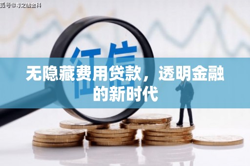 依兰无隐藏费用贷款，透明金融的新时代