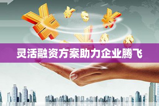 依兰灵活融资方案助力企业腾飞