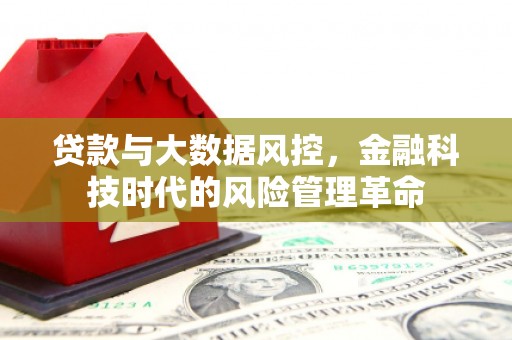 依兰贷款与大数据风控，金融科技时代的风险管理革命