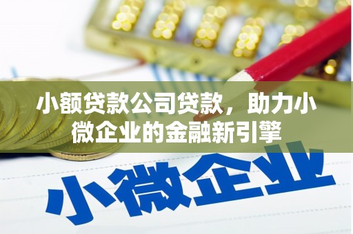 依兰小额贷款公司贷款，助力小微企业的金融新引擎