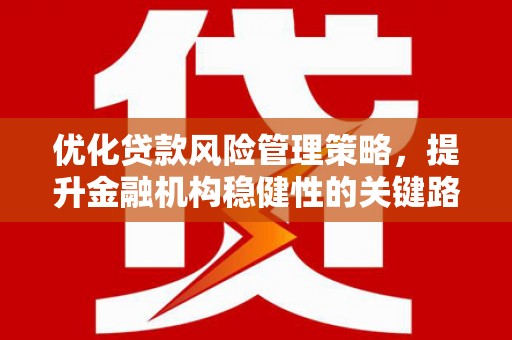 依兰优化贷款风险管理策略，提升金融机构稳健性的关键路径