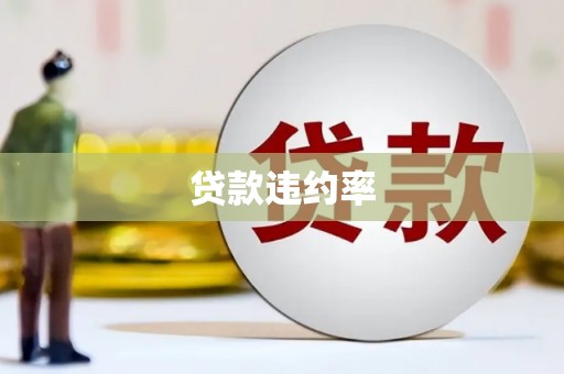 依兰贷款违约率