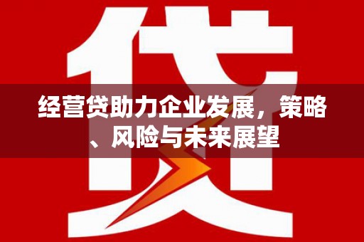 依兰经营贷助力企业发展，策略、风险与未来展望