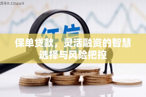 依兰保单贷款，灵活融资的智慧选择与风险把控