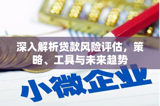 依兰深入解析贷款风险评估，策略、工具与未来趋势