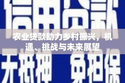 依兰农业贷款助力乡村振兴，机遇、挑战与未来展望