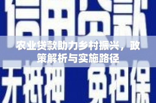 依兰农业贷款助力乡村振兴，政策解析与实施路径