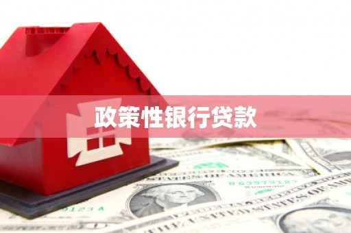 依兰政策性银行贷款