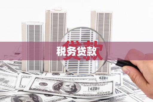 依兰税务贷款