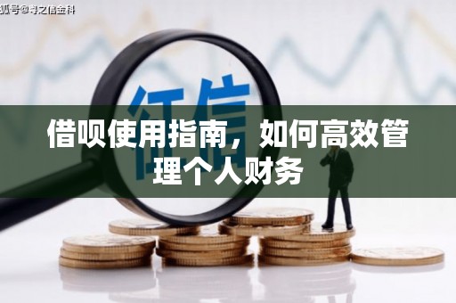 依兰借呗使用指南，如何高效管理个人财务