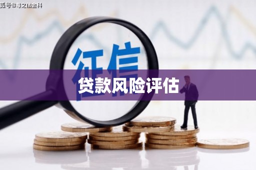 依兰贷款风险评估