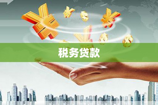 依兰税务贷款