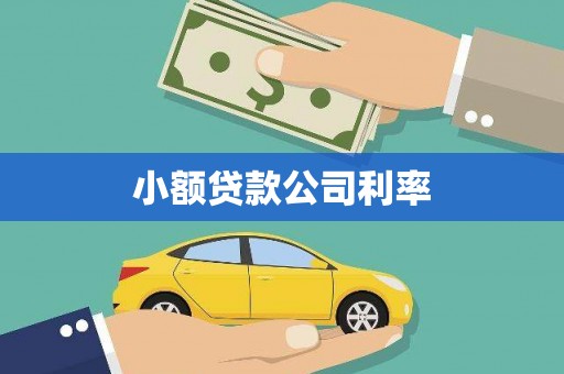 依兰小额贷款公司利率