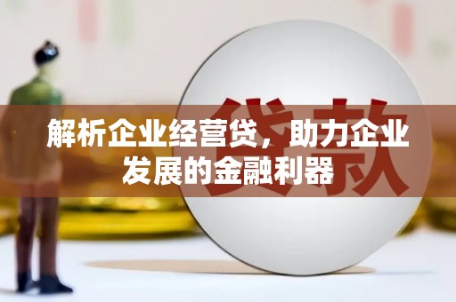 依兰解析企业经营贷，助力企业发展的金融利器