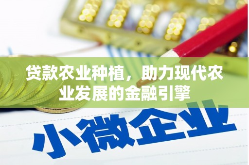 依兰贷款农业种植，助力现代农业发展的金融引擎