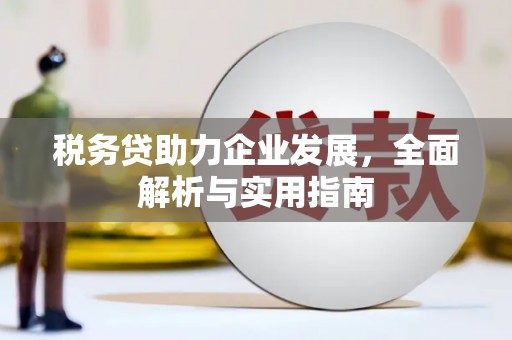 依兰税务贷助力企业发展，全面解析与实用指南