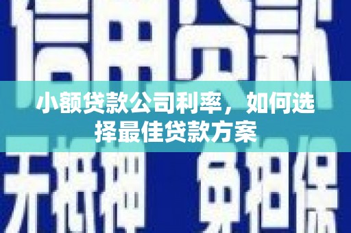 依兰小额贷款公司利率，如何选择最佳贷款方案