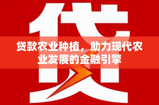 依兰贷款农业种植，助力现代农业发展的金融引擎