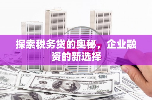 依兰探索税务贷的奥秘，企业融资的新选择