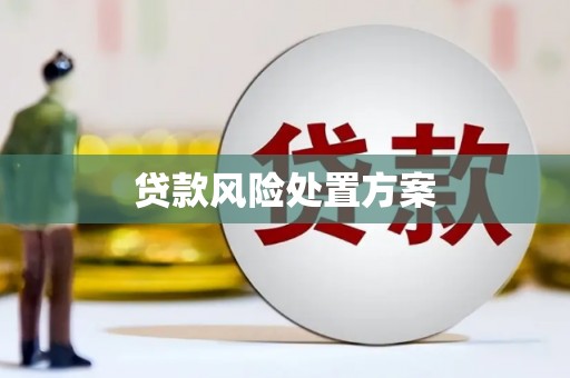 依兰贷款风险处置方案