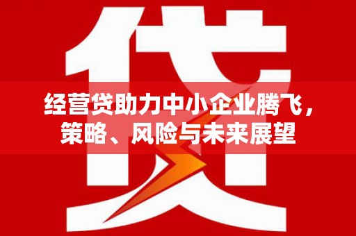 依兰经营贷助力中小企业腾飞，策略、风险与未来展望