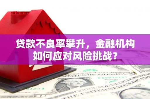 依兰贷款不良率攀升，金融机构如何应对风险挑战？