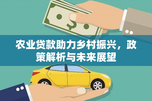 依兰农业贷款助力乡村振兴，政策解析与未来展望