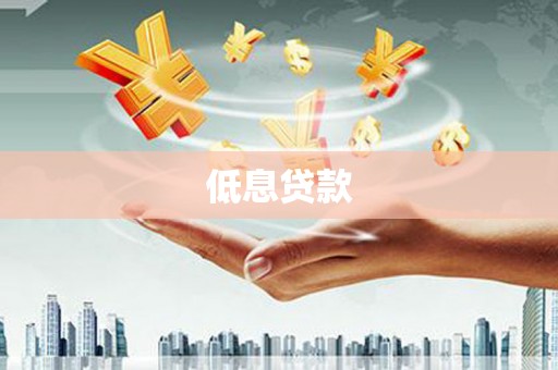 依兰低息贷款