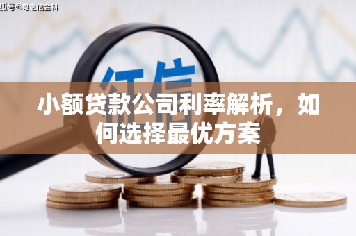 依兰小额贷款公司利率解析，如何选择最优方案
