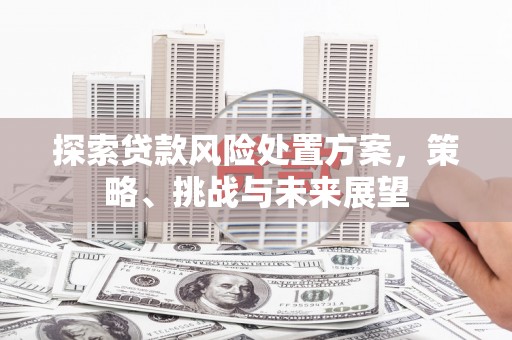 依兰探索贷款风险处置方案，策略、挑战与未来展望