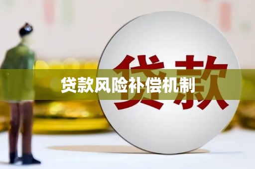 依兰贷款风险补偿机制