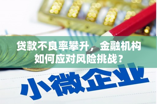 依兰贷款不良率攀升，金融机构如何应对风险挑战？