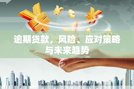 依兰逾期贷款，风险、应对策略与未来趋势