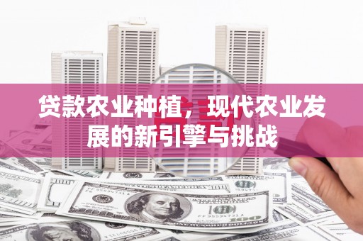 依兰贷款农业种植，现代农业发展的新引擎与挑战