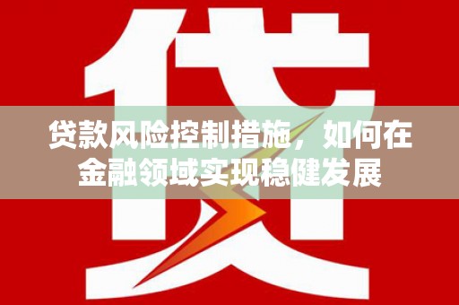 依兰贷款风险控制措施，如何在金融领域实现稳健发展
