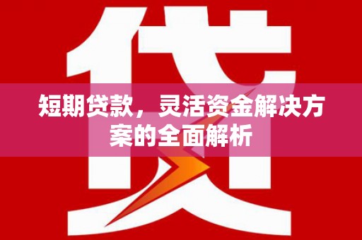 依兰短期贷款，灵活资金解决方案的全面解析