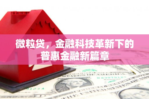 依兰微粒贷，金融科技革新下的普惠金融新篇章