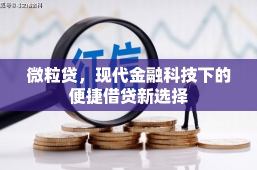 依兰微粒贷，现代金融科技下的便捷借贷新选择